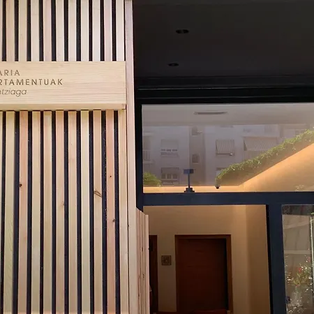 Apartamentuak - Balentziaga 公寓 *