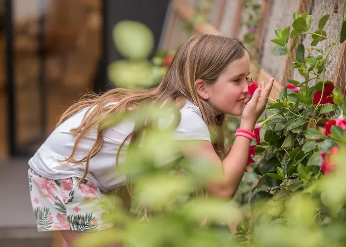 Apartment Apartamentuak - Balentziaga *